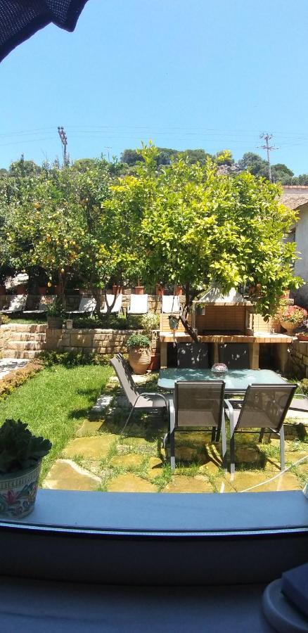 Cactus Apartment Nopigia Ngoại thất bức ảnh